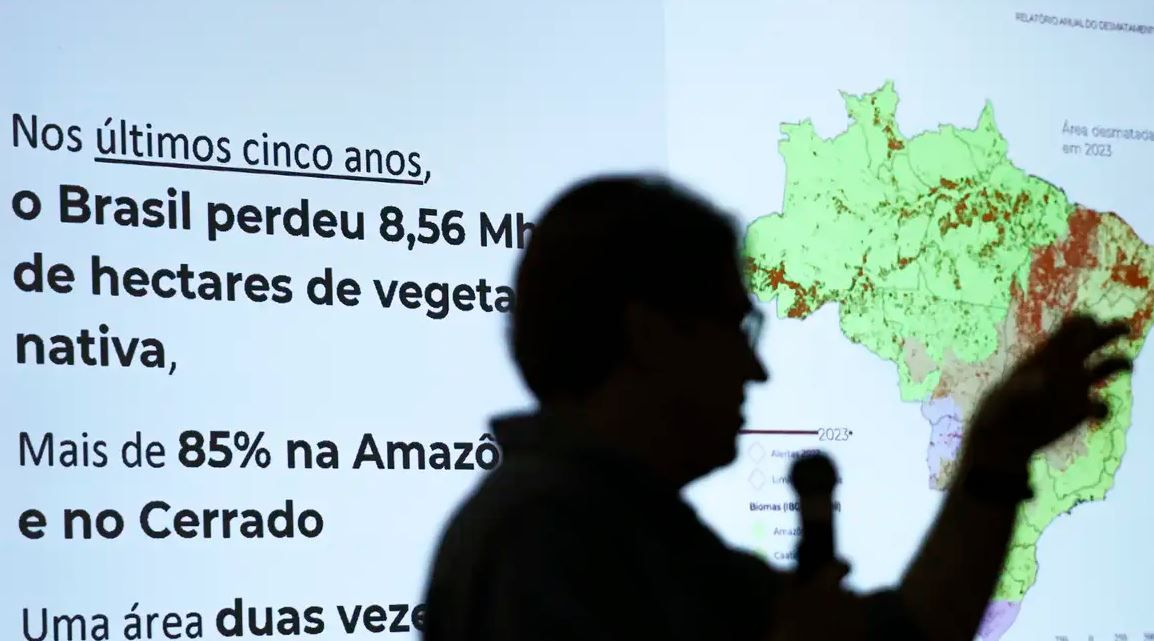 Brasil já perdeu 33% das áreas naturais de seu território