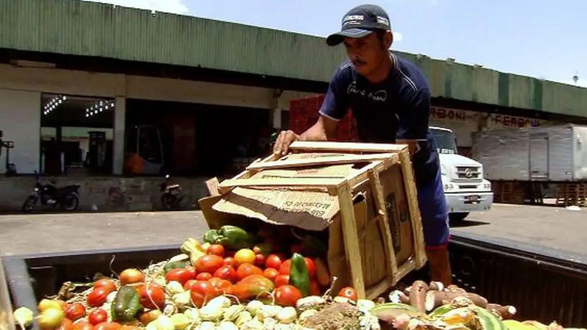 Pesquisa traz dicas sobre como reduzir desperdício de alimentos