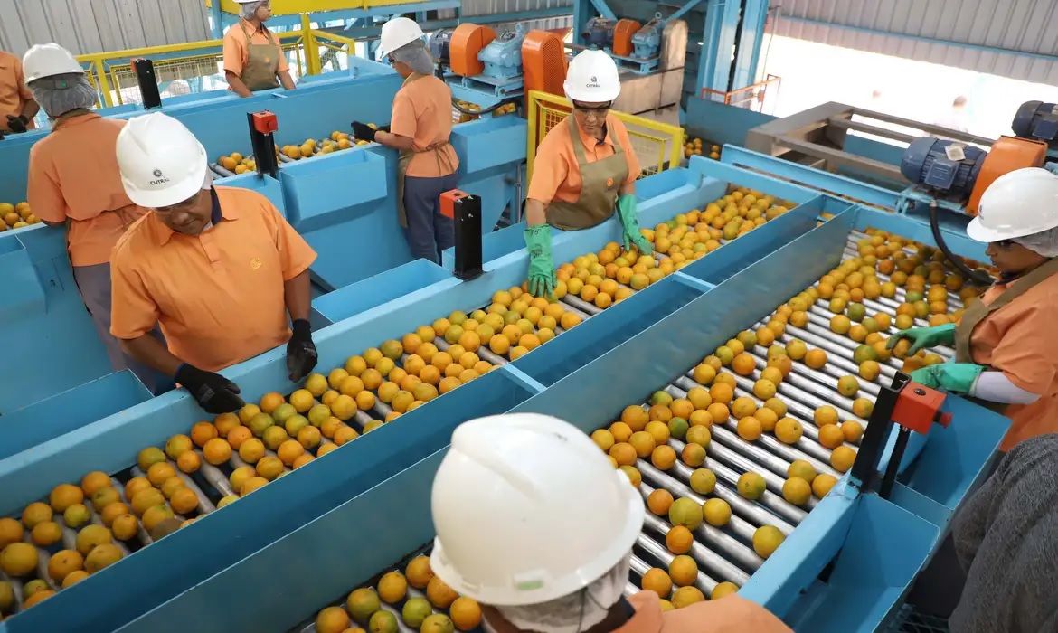 694 produtos brasileiros ficam de fora do 'tarifaço' de Trump